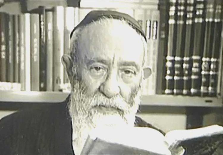 הרב יוסף קאפח - הרמב"ם של דורנו