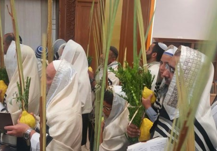 ביאור על מנהג ההושענות וההקפות ופירוש הושענות יום שלישי
